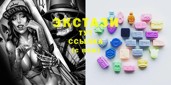 прущие грибы Вязьма