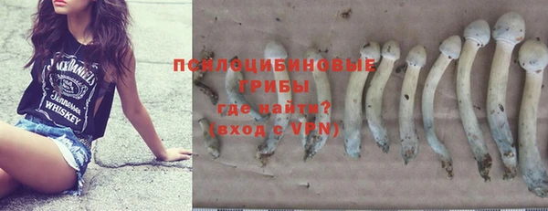 альфа пвп Горнозаводск